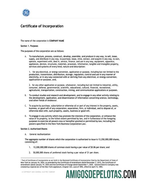 Certificado de incorporação dos EUA, Nova York, modelo Word e PDF para impressão